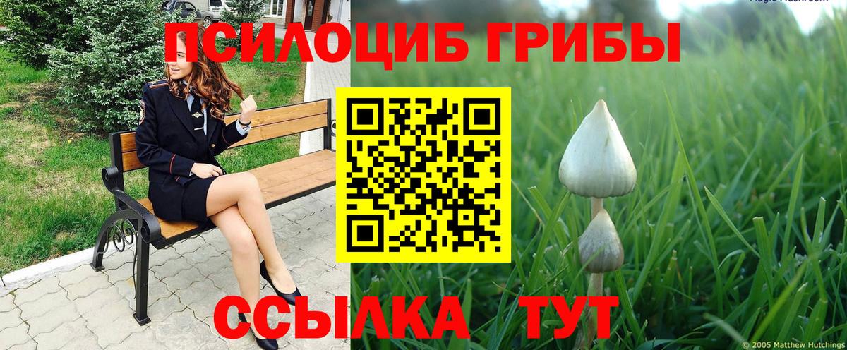 Галлюциногенные грибы ЛСД Аша